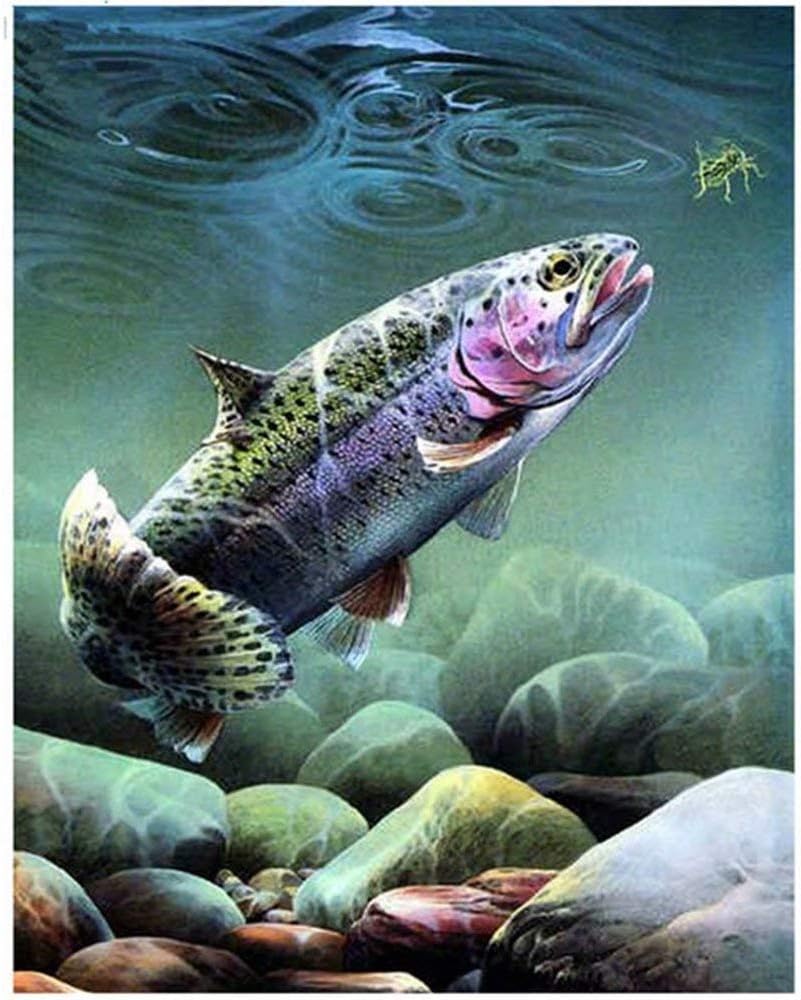Paint by Number Kits Fish 16x20 Inch Linen Canvas