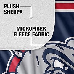 Gonzaga University Bulldogs Primary Logo Stripes