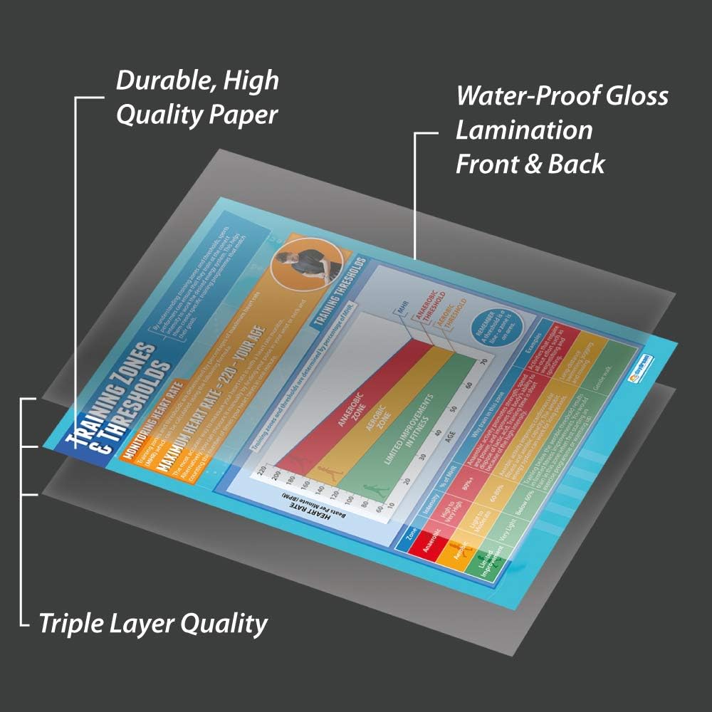 Daydream Education Sports Training Zones & Thresholds, Training Thresholds & Zones, 85L x 59.4W cm - Image 5