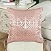 CaliTime Pack of 2 Throw Pillow Covers Cases for Couch Sofa Home Decor Vintage Shining & Dull Contrast Cross Flowers Trellis Geometric Figure 18 X 18 Inches Dusty Pink