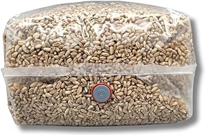 Rye Mushroom Grain Spawn | 2.5LB | Pre-Sterilized | Injection Port | Grow Mushrooms at Home | Made in Canada | Flatland Fungi