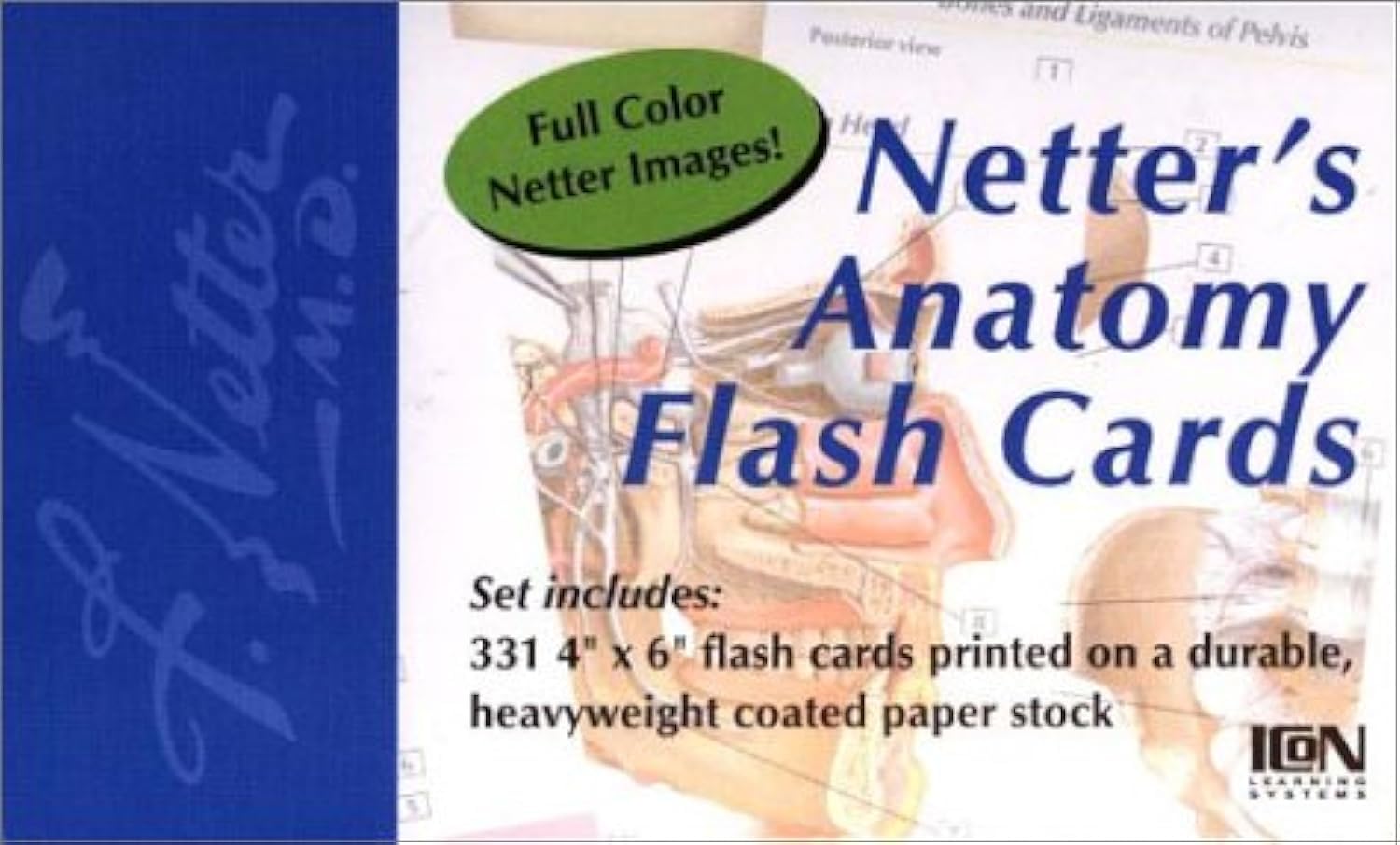 Mua Netter's Anatomy Flash Cards Netter's Anatomy Flash Cards Cards