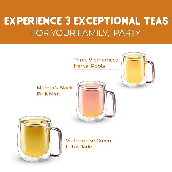 SACHS TEA 1773 SINGLE ESTATE HERBAL TEA ASSORTMENT, TEA SAMPLER – 03 PREMIUM FULL LEAF HERBAL TEAS ( VIENAMESE HERBAL ROOTS, MOTHER’S MINT, GREEN LOTUS JADE) | FLAVOR NOTES (EARTHY, HERBACEOUS, VEGETAL) | SUGER-FREE, NON-GMO, KETO – (PACK OF 30 LARGE HANDCRAFTED SACHETS, 2.6OZ)