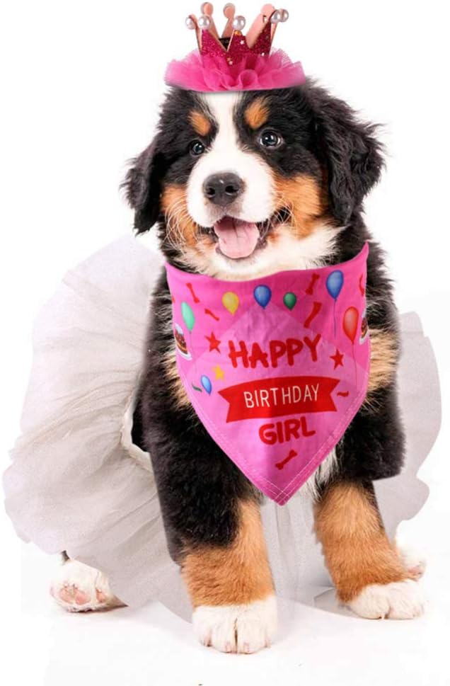 tutu rock krone bandana set fur haustier welpe katze madchen outfit fur geburtstagsfeier birthday party supplies balacoo hund geburtstag hut hunde haustier ayurvedanetworkbhu com