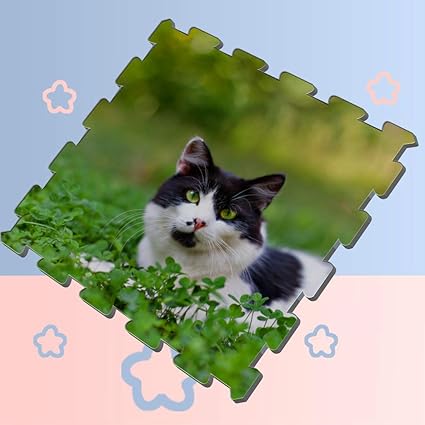 cat puzzle mat
