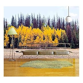 Cattle Drive by Two Cowboys in Colorado. - Removable Wall Mural | Self-Adhesive Large Wallpaper - 66x96 inches