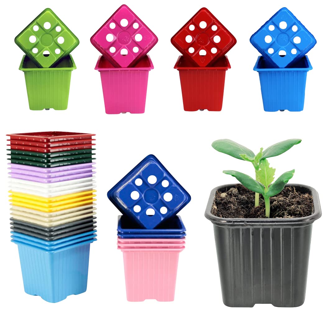HYDROPLANETE Pots for Seedling – 8 x 8 x 7 cm – Yellow, Green, Red, Purple, Blue, etc. – Made in France – Pack of 24 or 50 – Reusable Plastic Pots for Seedling and Young Plants