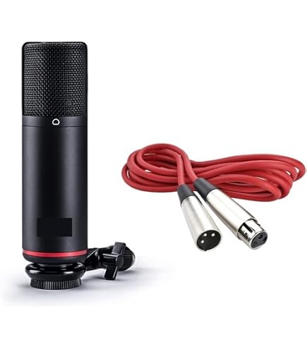 Amazon.com: GGGUOJINN Microphone CM25 MkIII Condenser Microphone