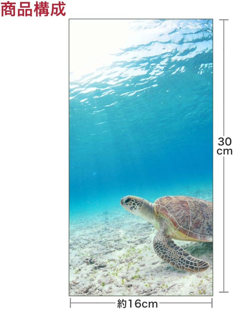 Amazon ポスター ウォールステッカー 長方形 シール式ステッカー 飾り 30 16cm Ssize 壁 インテリア おしゃれ 剥がせる Wall Sticker Poster 写真 風景 ウミガメ 海 写真 ウォールステッカー オンライン通販