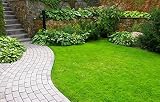 Pro-Kleen Iron Sulphate 1KG Lawn Conditioner - Turf Hardener & Fertiliser view 3