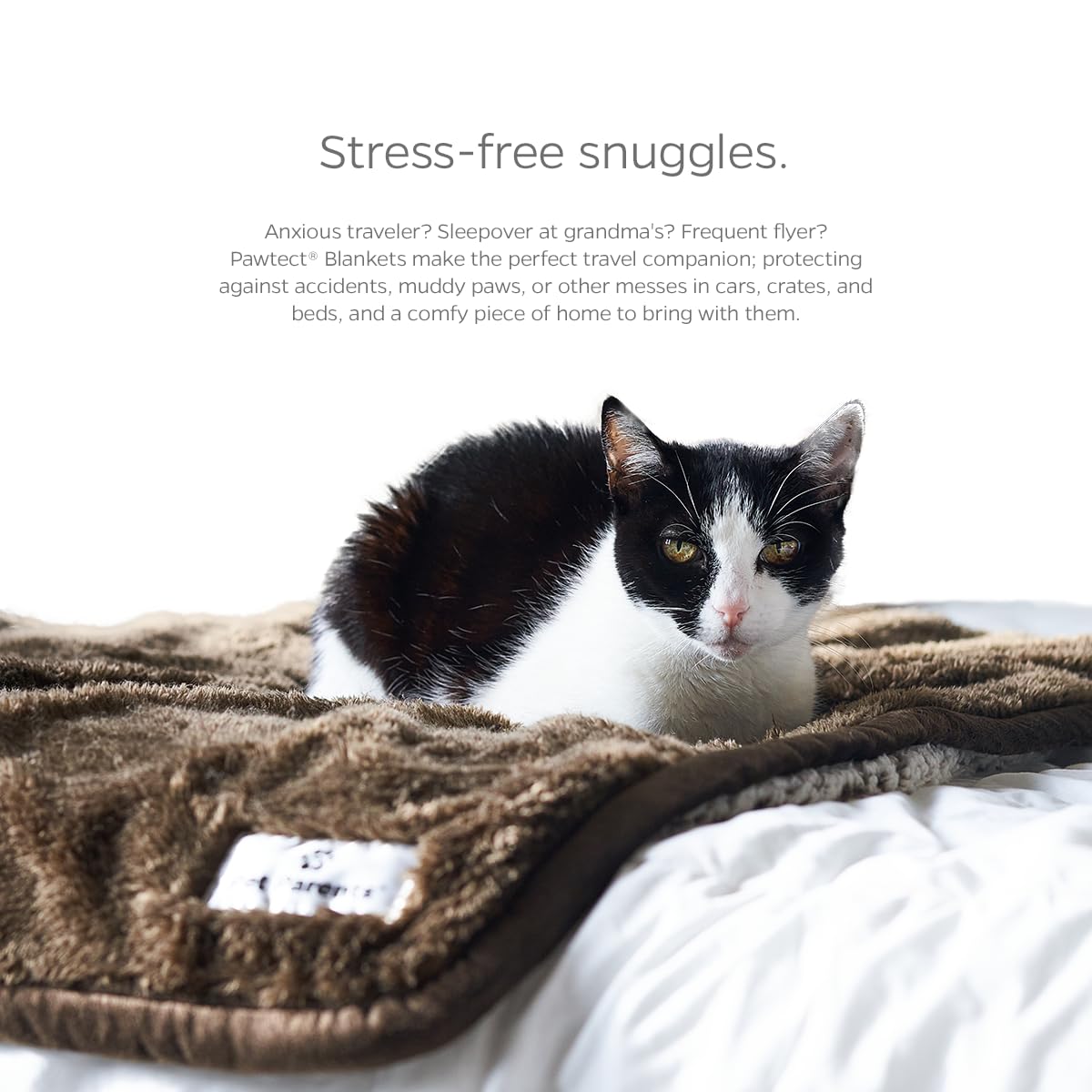 Pet Parents Pawtect Waterproof Blanket