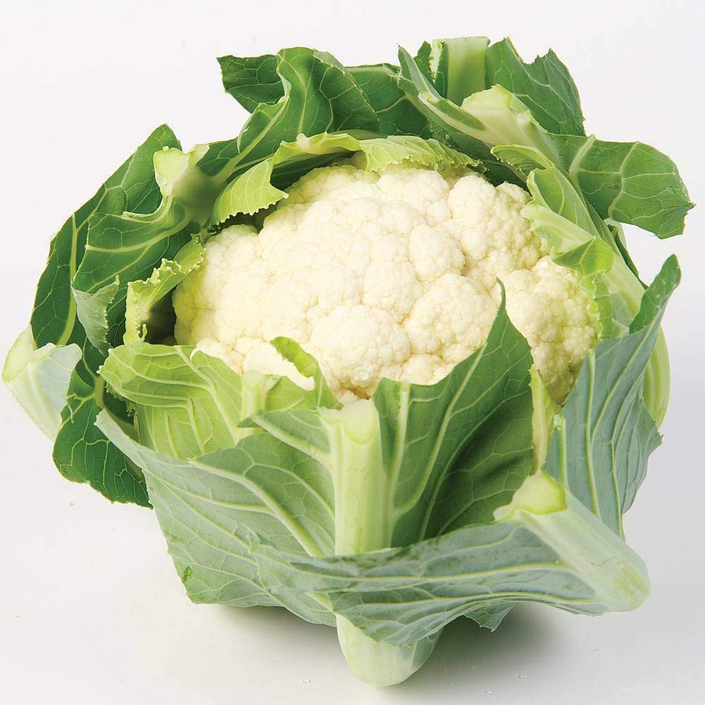 Cauliflower 'White Step' Seeds Half Hardy Annual Vegetable Garden Plants Easy to Grow Your Own 'White Step' 1 Packet of 30 Seeds by Thompson and Morgan