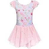Arshiner Girls Ruffle Sleeve Ballet Dance Dress Tutu Skirted Leotard
