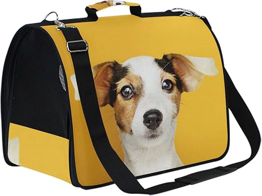 retriever pet carrier