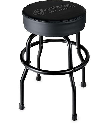 Amazon.com: Gibson Premium Playing Stool Standard Logo, Tall
