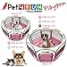 PET4FUN PN935 35