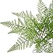 Felice Arts 4 Bundles Artificial Boston Ferns Bush Plants Faux Grass Fake Plastic Shrubs Leaves Fake Shrubs Plant Arrangements Simulation Greenery Bushes Indoor Outside Home Garden Office Verandah