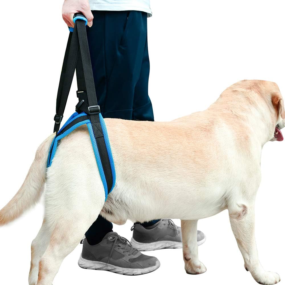ROZKITCH Pet Dog Support Harness Rear 