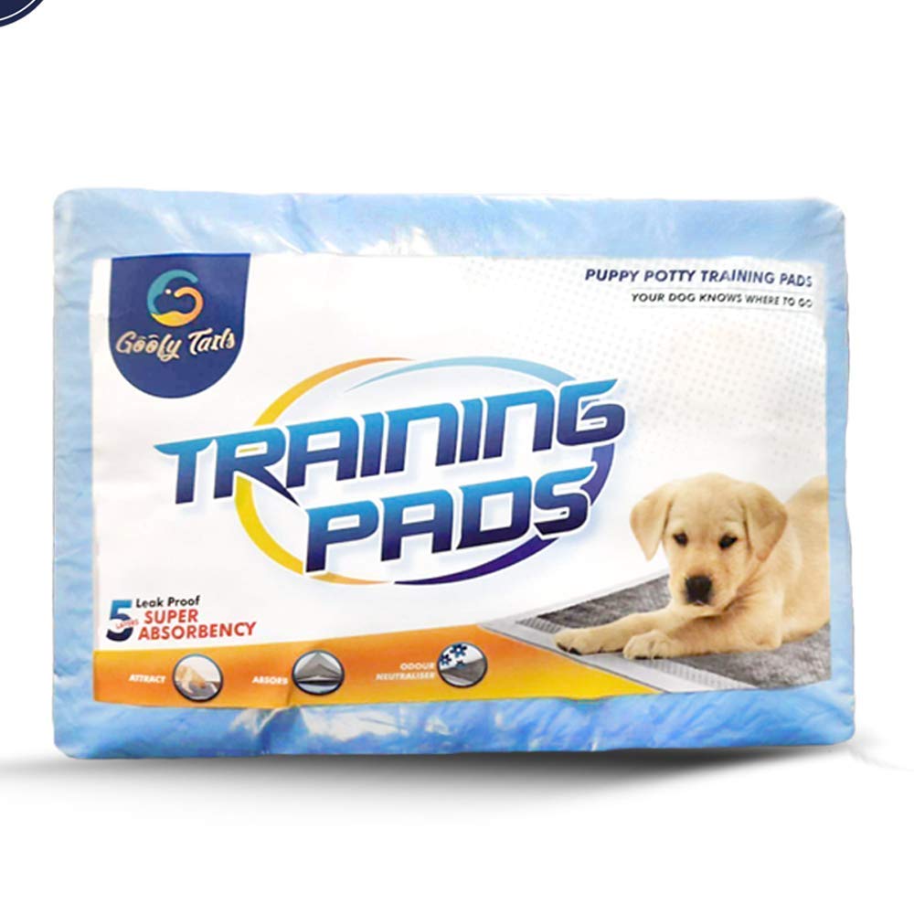 Buy Goofy Tails Pee Pads for Dogs High Absorption Puppy Training Pads