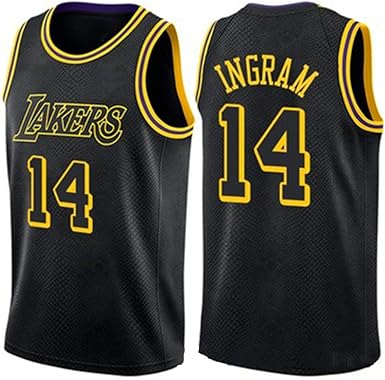 lakers jersey 14