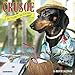 Crusoe the Celebrity Dachshund 2018 Mini Wall Calendar