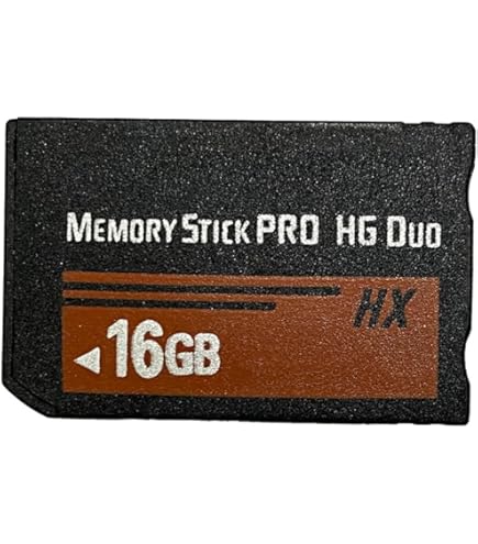 LICHIFIT 64GB Memory Stick MS Pro Duo Memory Card for Sony PSP