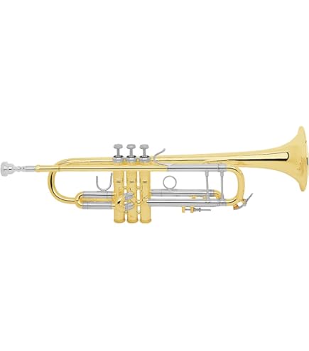 Amazon.com: Bach 180S43 Stradivarius Series Bb Trumpet, Silver