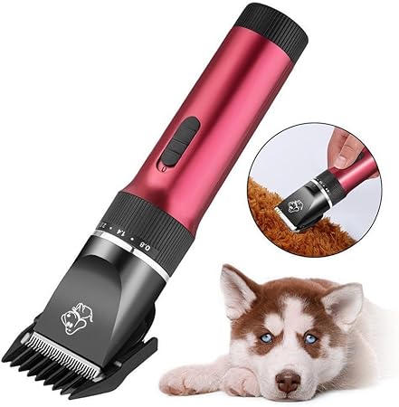 guinea pig hair clippers