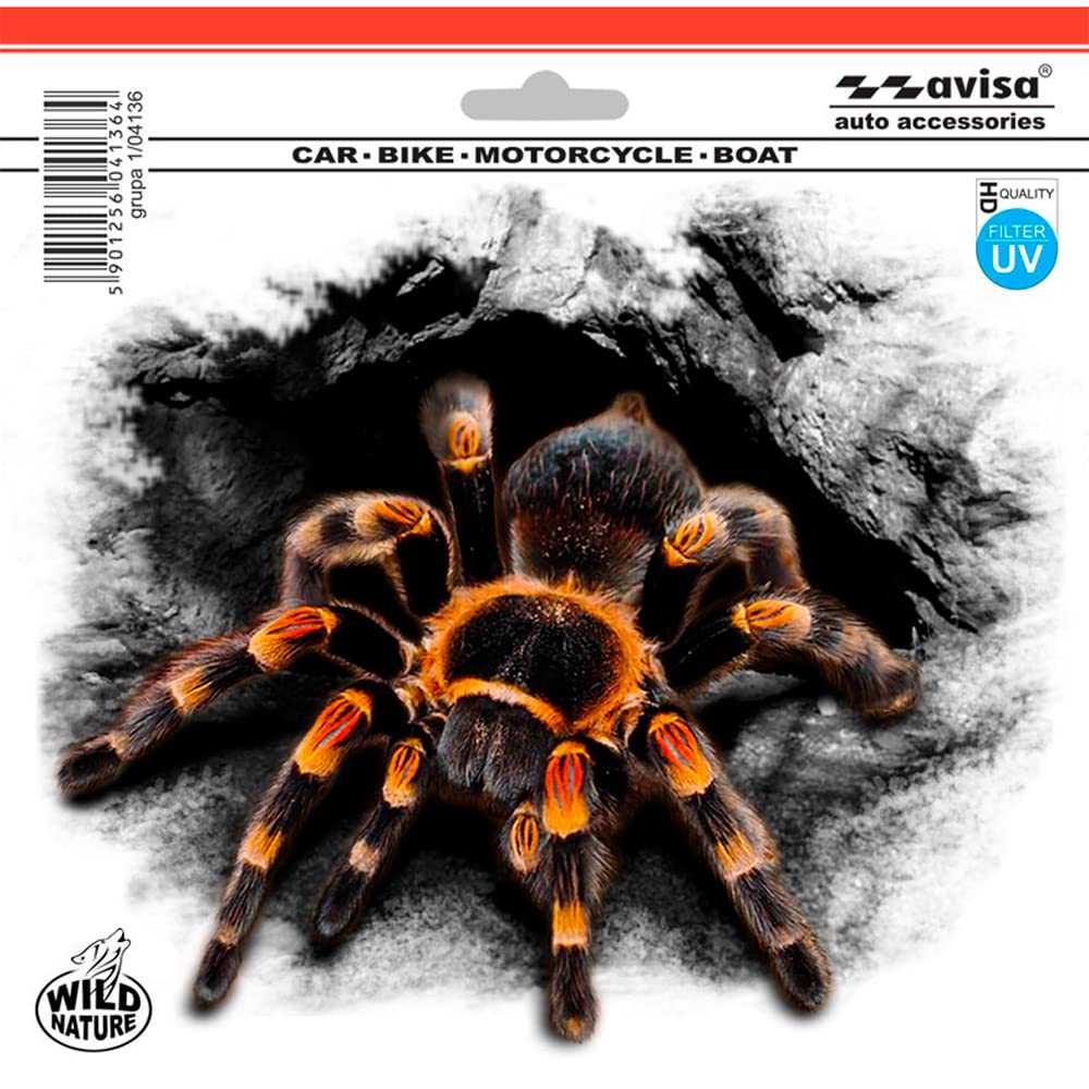 Avisa Auto Tattoo Sticker Spider - 18,3x15,5cm