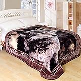 ShiGo Heavy Weight Super Soft Luxury Twin size Blanket 60