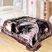 ShiGo Heavy Weight Super Soft Luxury Twin size Blanket 60