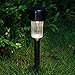 EcoCity Solar Lights Outdoor Garden Lights Landscape Pathway Lights Stainless Steel 12-Pack (Gunmetal)