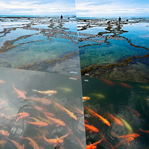 K&F Concept Magnetischer CPL Filter 49-mm-Zirkular-Polfilter Magnetischer Polarisationsfilter HD 28 Multi-Layer… – Bild 5