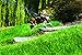 PetSafe Come with Me Kitty Harness and Bungee Leash, Medium, Lime