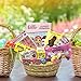 Easter Gift Basket - Premade Themed Basket For Kids, Boys, Girls Filled with Eggs, Candy, Chocolate Great Care Package for Family and Friends