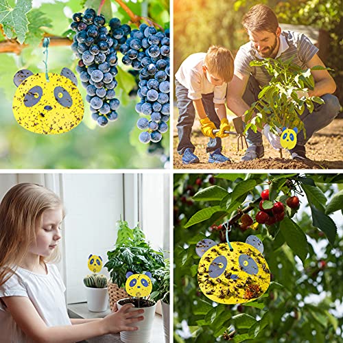 12 PCS Fruit Fly Trap Yellow Sticky Fungus Gnat Traps for House Plants Gnat Killer for Indoor / Outdoor, Glue Trappers Bug Catcher for Gnats, Whitefly, Mosquito Bits, Flying Insects - Protect Plants