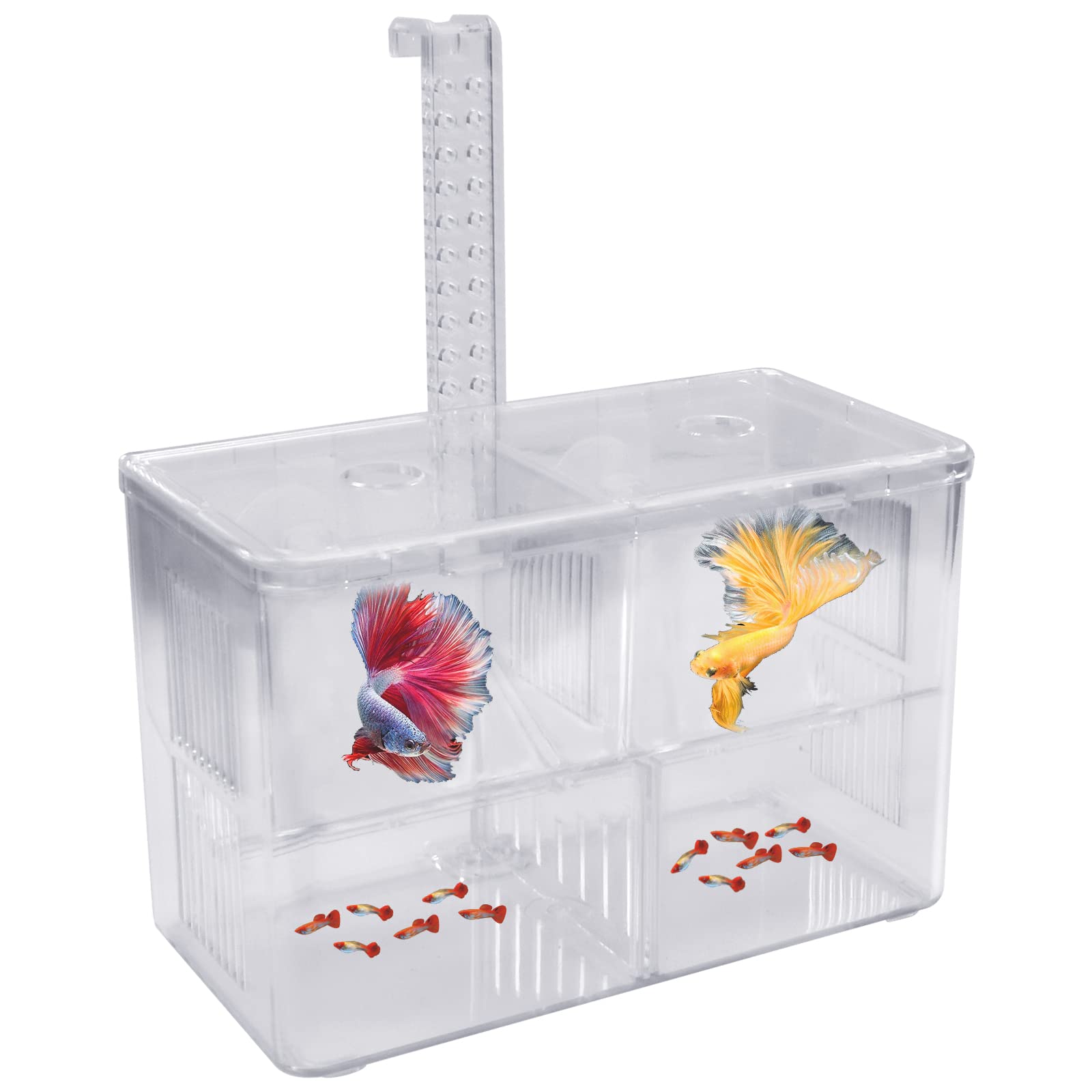 Aquarium Birthing Room, Double Layer Fish Breeding Box, Large Capacity Childbirth Hall, Transparent Nursery Room, 4 in 1 Breeder the Trap Box with Hook and 2 Suction Cup