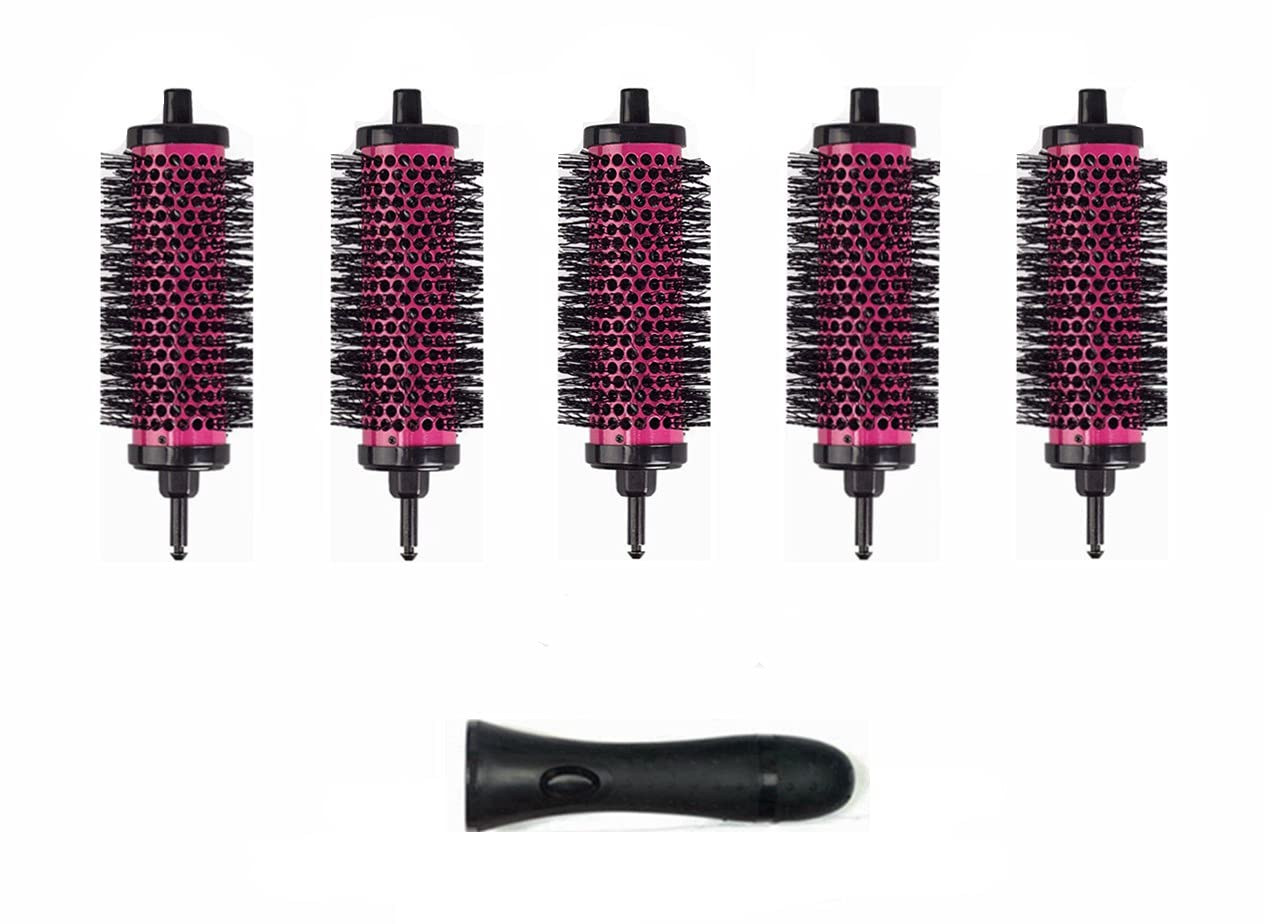 LIGICKY Blowout Brush Set with 1.9’’ Detachable Barrels Round Brushes Hair Styling Tool, 1 Handle 5 Barrels, Small