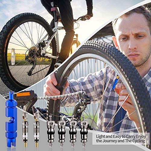 6 Hapleby+Premium+Remover+Schrader+Including