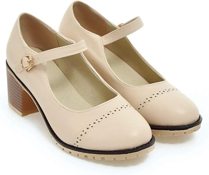 Amazon.com | Women Mary Jane Oxford Pumps Perforated Retro Round Toe Chunky Block Stacked High 