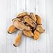 The Honest Kitchen Nice Mussels Dog Treats - Natural Human Grade Freeze Dried Treats, Blue & Green Mussels, 2 oz
