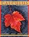 Calculus: Single and Multivariable, Sixth Edition