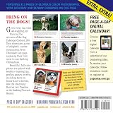 Image de 365 Dogs 2015 Page-A-Day Calendar