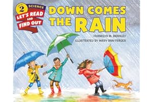 Down Comes the Rain