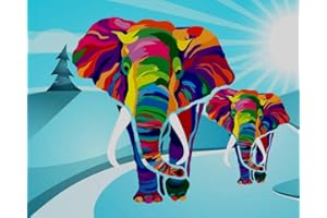 Maomaomi Paint by Numbers DIY Acrylic Painting Kit for Kids & Adults Beginner – 16" Wx20 L Colorful Elephant Pattern