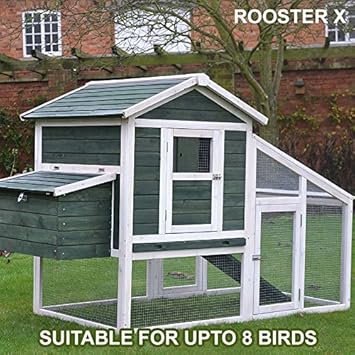 poulailler rooster x