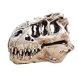 KODENG Tyrannosaur Skull T-Rex Skull Gifts Lifelike