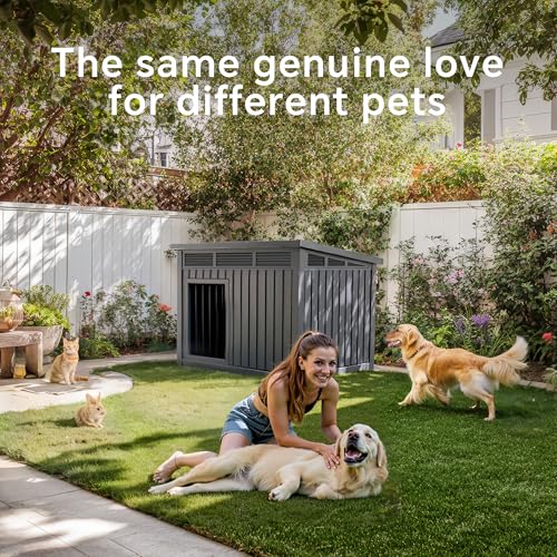 Dog House Outdoor Insulated Leaking When It Rains? 5 Fixes Before You Replace It 12 Thumbnail 12