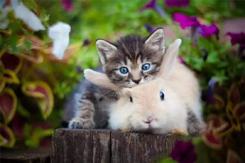 Jigsaw Puzzle 1000 Piece Cat and Rabbit Classic Puzzle Adult Puzzle DIY Kit Wooden Toy Unique Gift Modern Home Decor
