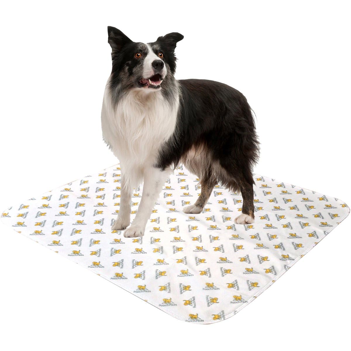 PoochPad Original Washable, Reusable Potty Pad (Large, Pack of 2) - Unmatched Odor Control, Leakproof Puppy Training Pee Pad